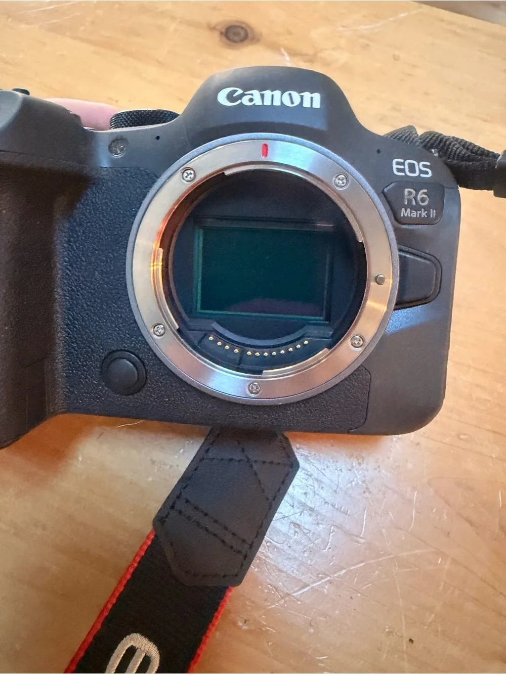 Canon EOS R6 Mark II Mirrorless Camera - Black Body with Black Lens NWOT